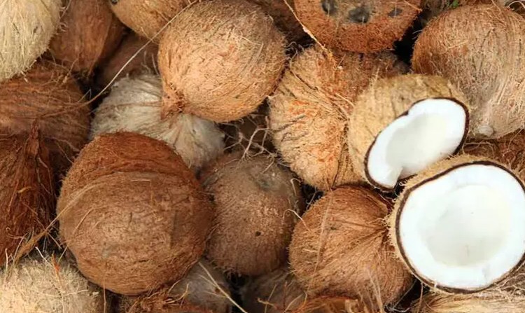 തേങ്ങക്ക് വൻവില; ക്ഷേത്ര വഴിപാടുകൾ പ്രതിസന്ധിയിൽ