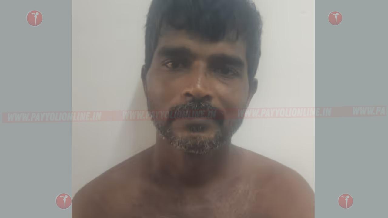 മദ്യപിച്ച് അതിക്രമം, പതിനാറുകാരനെ കല്ലെറിഞ്ഞ് പരിക്കേൽപ്പിച്ചു; തമിഴ്‌നാട് സ്വദേശി അറസ്റ്റിൽ